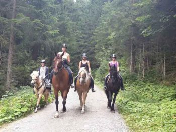 Paardrijden in de prachtige natuur van Oostenrijk
